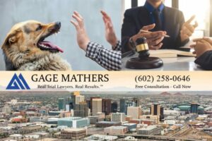 Phoenix Dog Bite Lawyer